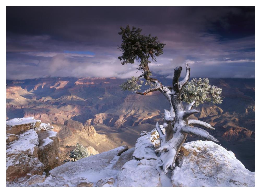South Rim Of Grand Canyon With A Dusting Of Snow Seen From Yaki Point, Grand Canyon National Park, Arizona-Paper Art-42X32