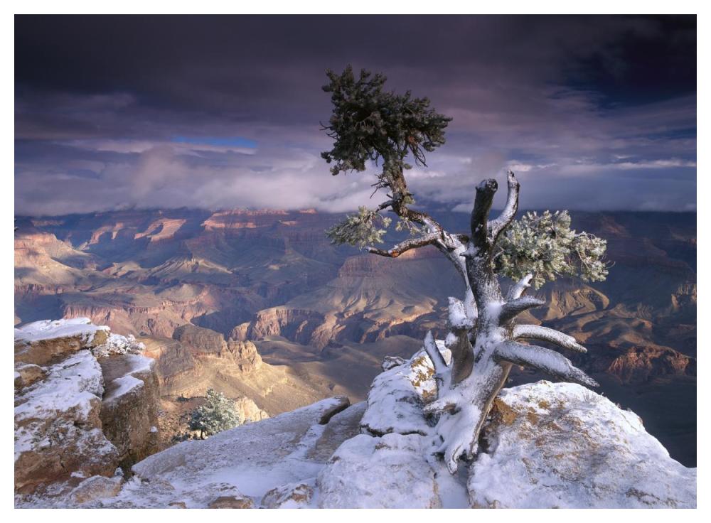 South Rim Of Grand Canyon With A Dusting Of Snow Seen From Yaki Point, Grand Canyon National Park, Arizona-Paper Art-50X38