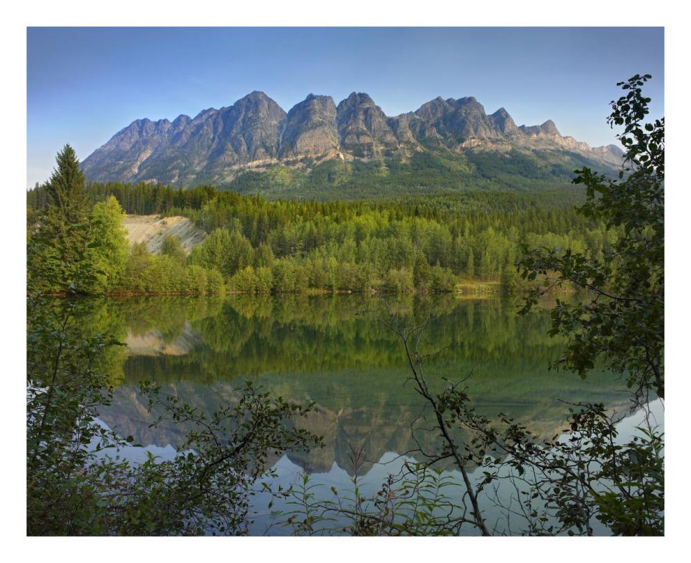 Yellowhead Mountain And Yellowhead Lake With Boreal Forest, Mount Robson Provinvial Park, British Columbia, Canada-Paper Art-26,