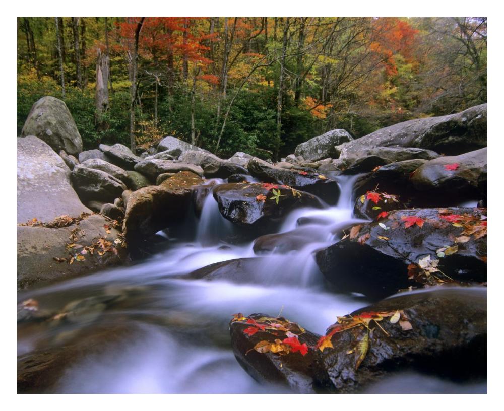 Little Pigeon River Cascading Among Rocks And Colorful Maple Leaves, Great Smoky Mountains National Park, Tennessee-Paper Art-30
