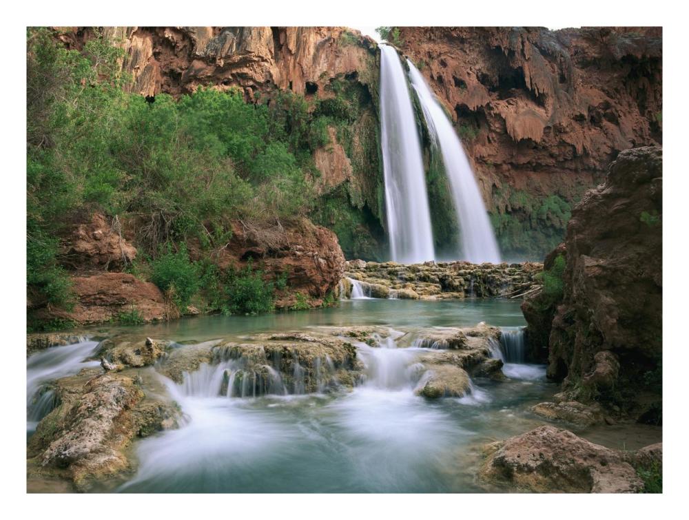 Havasu Creek, Lined With Cottonwood Trees, Havasu Falls, Grand Canyon, Arizona-Paper Art-26X20
