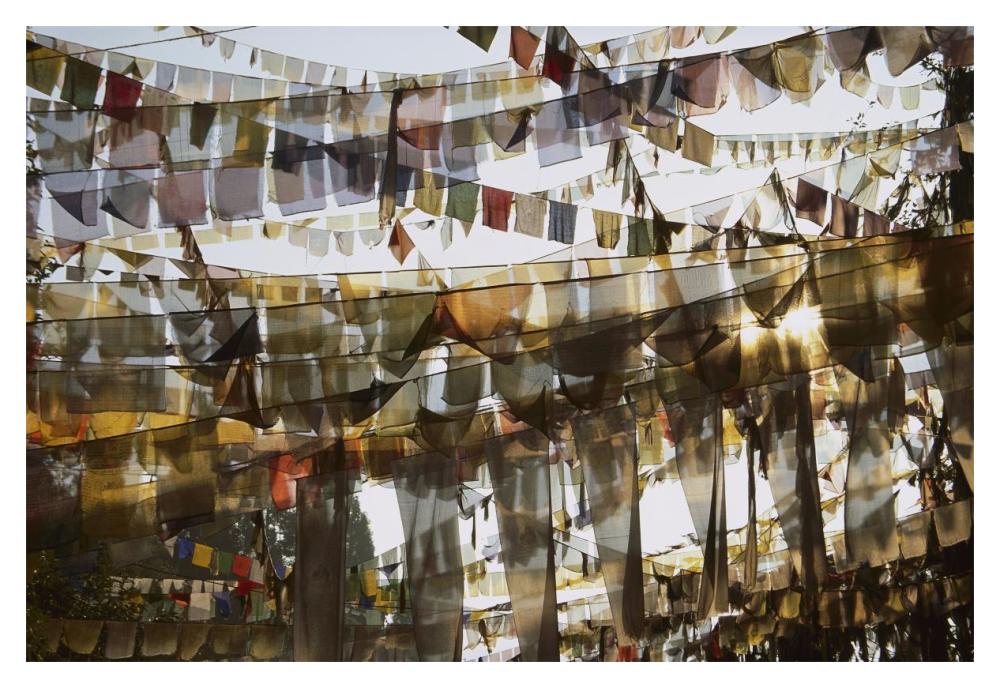 Prayer Flags At Dawn, Ganesh Top, Gangtok, Sikkim Himalaya, India-Paper Art-20X14