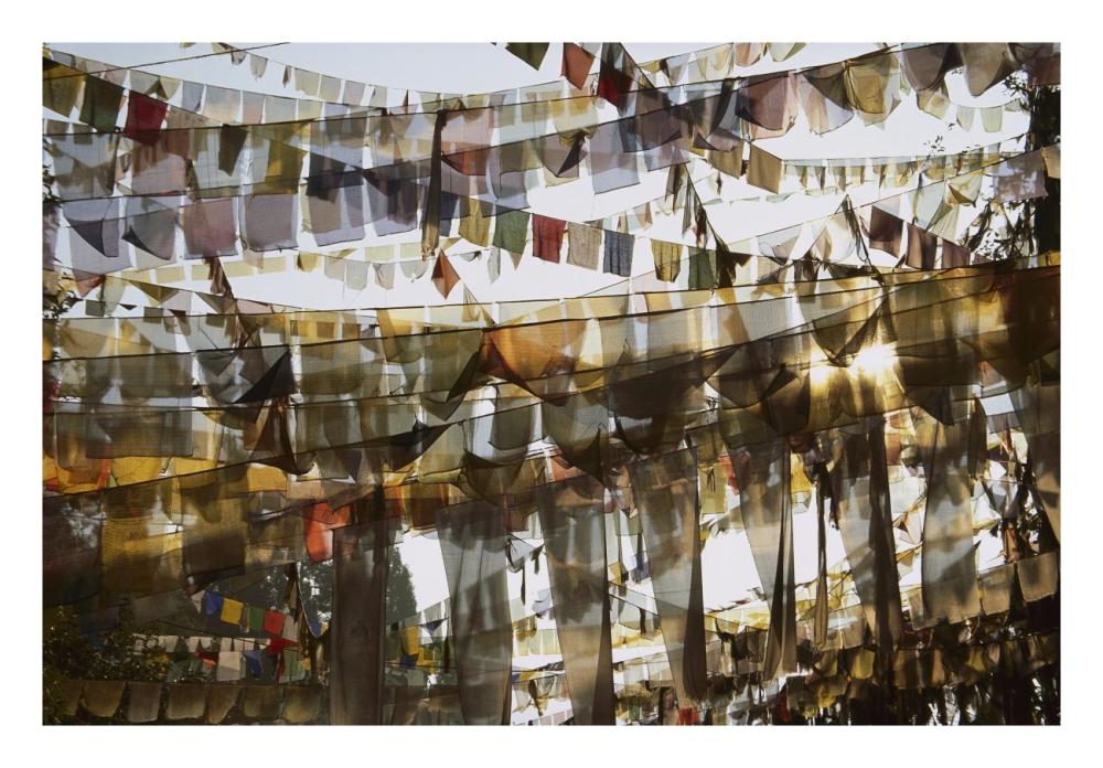 Prayer Flags At Dawn, Ganesh Top, Gangtok, Sikkim Himalaya, India-Paper Art-26X18