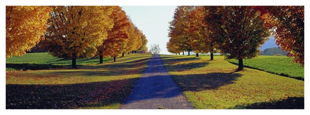 Autumn Road, Storm King Mountain, New York-Paper Art-56X20