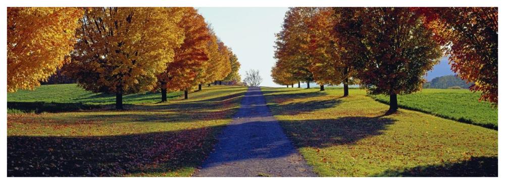 Autumn Road, Storm King Mountain, New York-Paper Art-74X26
