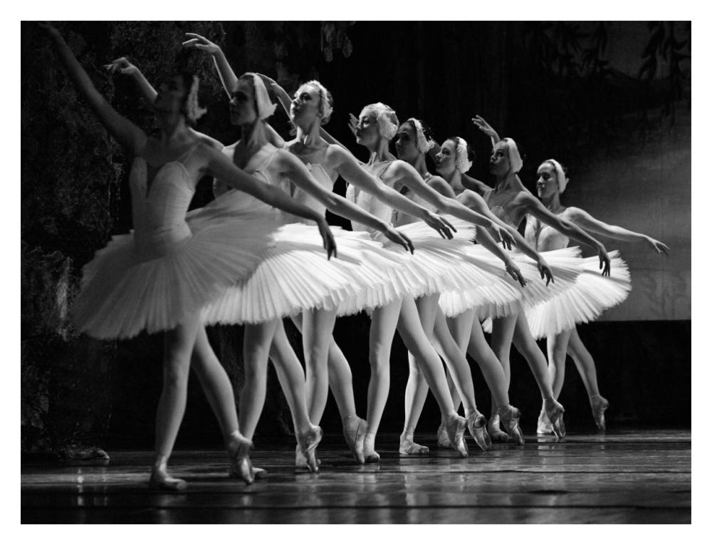 Swan Lake Ballet-Paper Art-18X14
