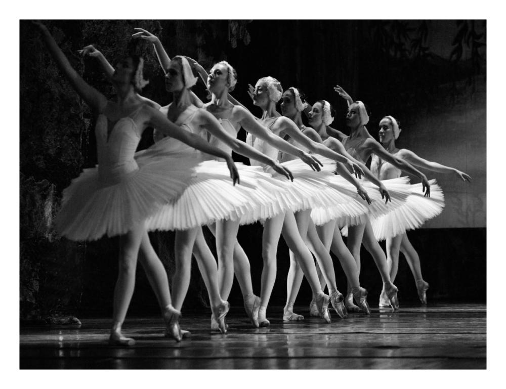 Swan Lake Ballet-Paper Art-26X20