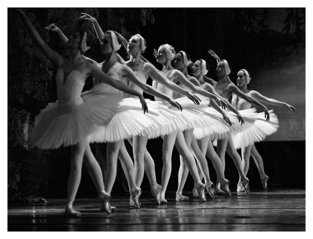 Swan Lake Ballet-Paper Art-42X32