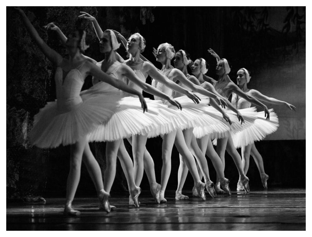 Swan Lake Ballet-Paper Art-50X38