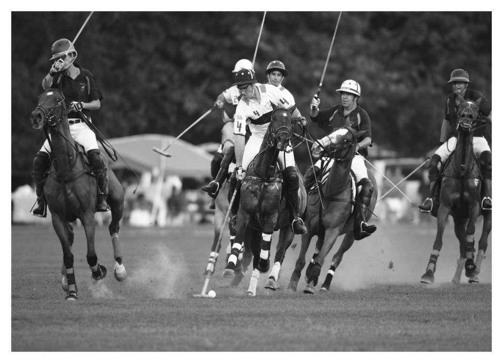 Polo Players, New York-Paper Art-46X33.24