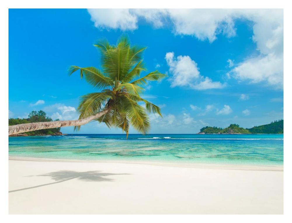 Tropical Beach, Seychelles (Detail)-Paper Art-18X14