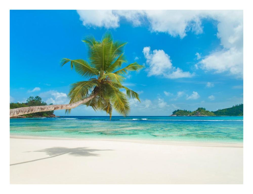 Tropical Beach, Seychelles (Detail)-Paper Art-26X20