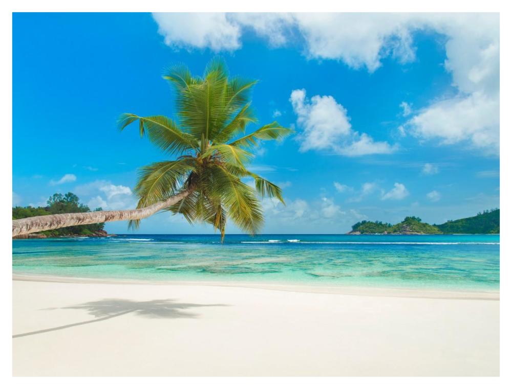 Tropical Beach, Seychelles (Detail)-Paper Art-42X32