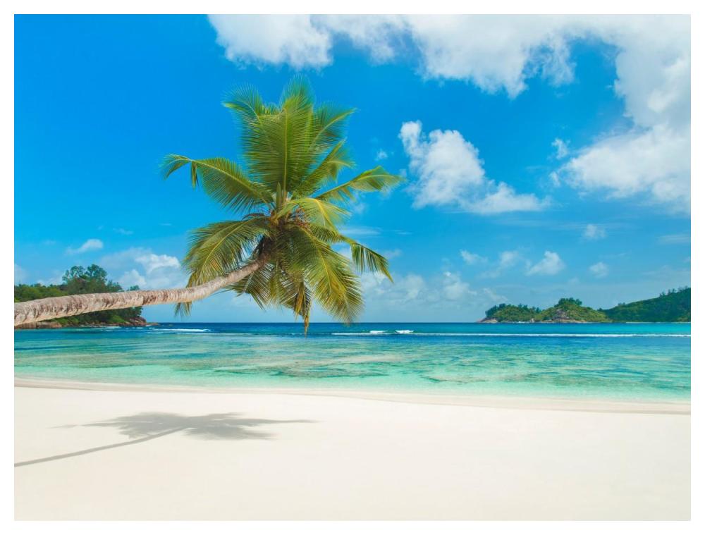 Tropical Beach, Seychelles (Detail)-Paper Art-50X38