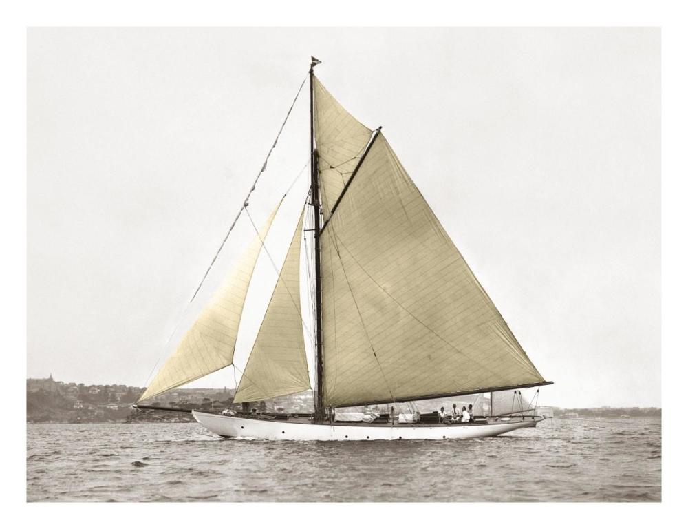 Yacht On Sydney Harbour-Paper Art-26X20