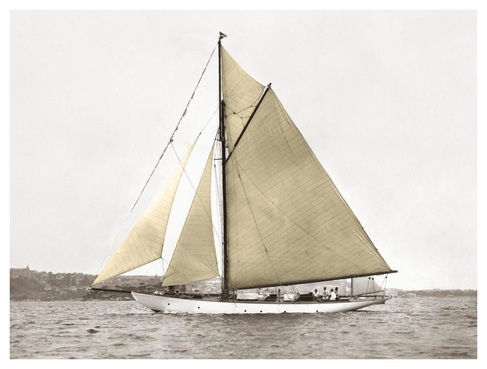 Yacht On Sydney Harbour-Paper Art-50X38