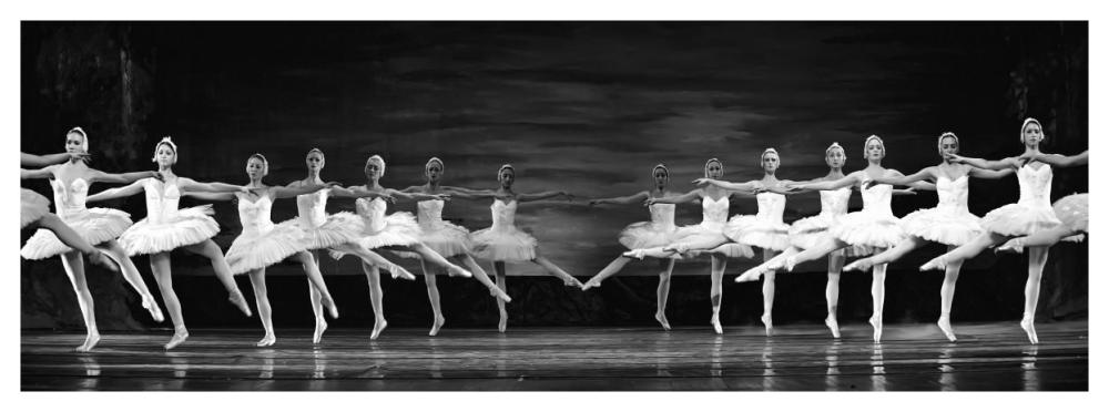 Swan Lake Ballet-Paper Art-56X20