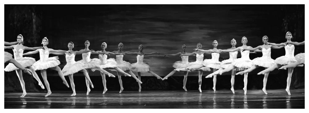 Swan Lake Ballet-Paper Art-74X26