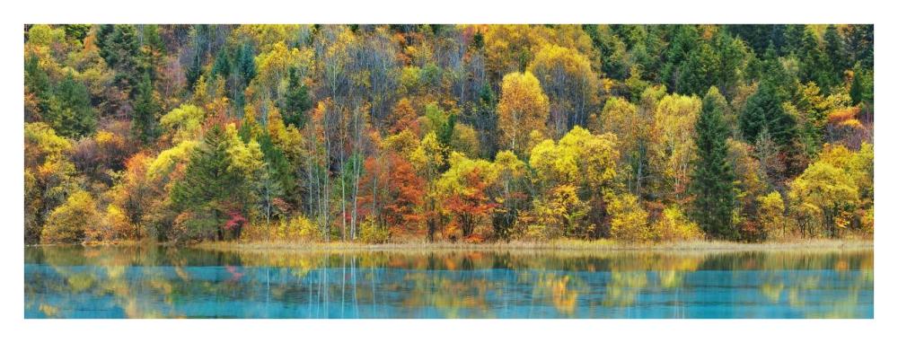 Lake And Forest In Autumn, China-Paper Art-38X14