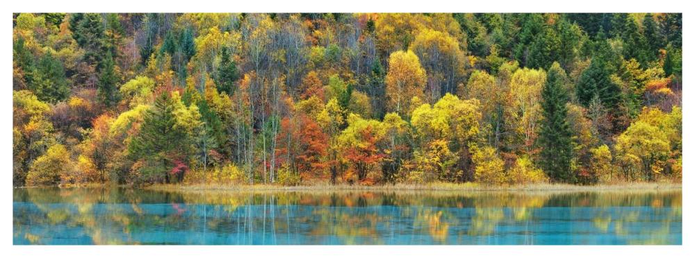 Lake And Forest In Autumn, China-Paper Art-56X20