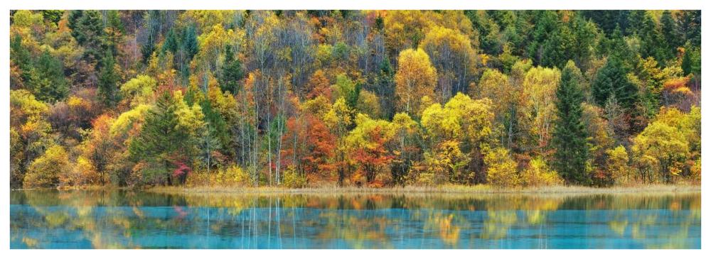 Lake And Forest In Autumn, China-Paper Art-74X26