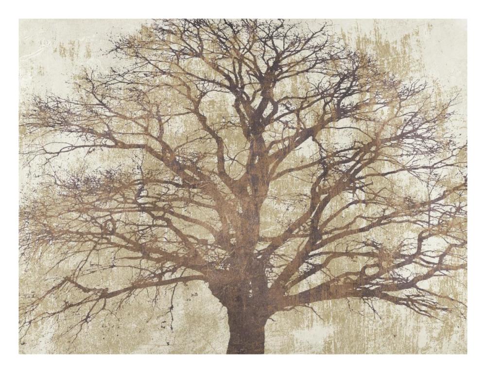 Sacred Oak-Paper Art-26X20
