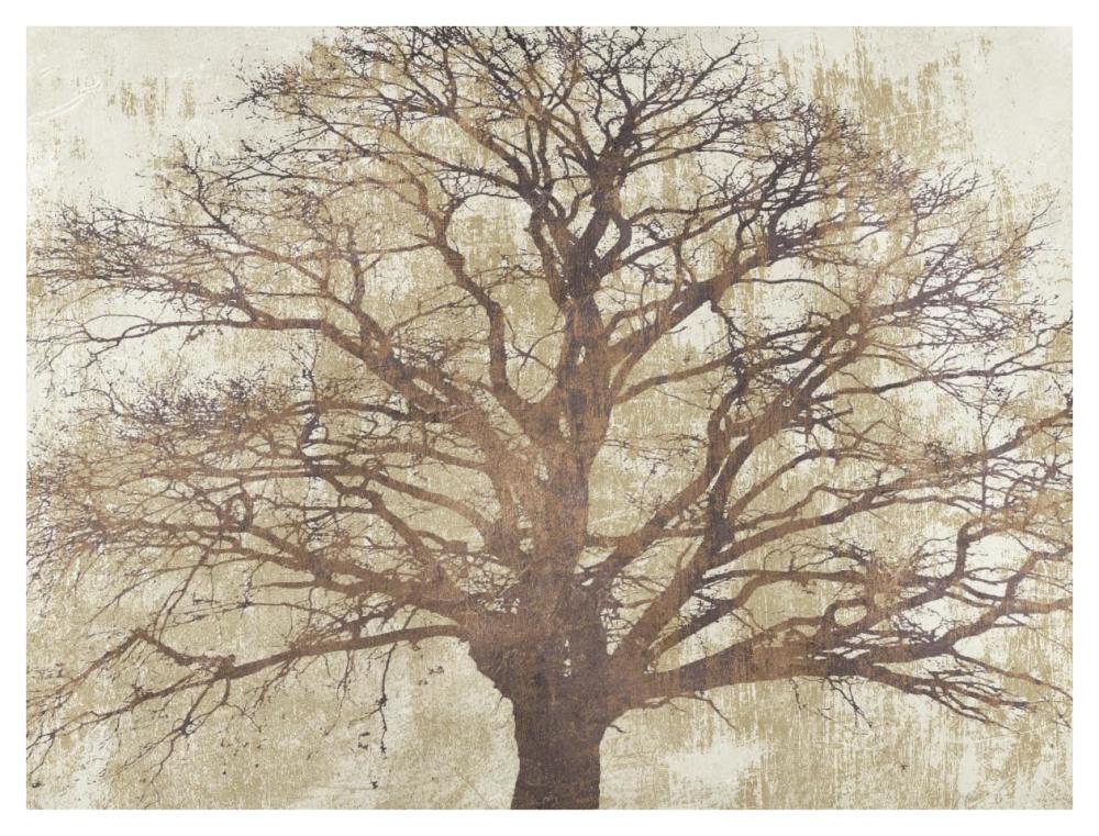 Sacred Oak-Paper Art-42X32