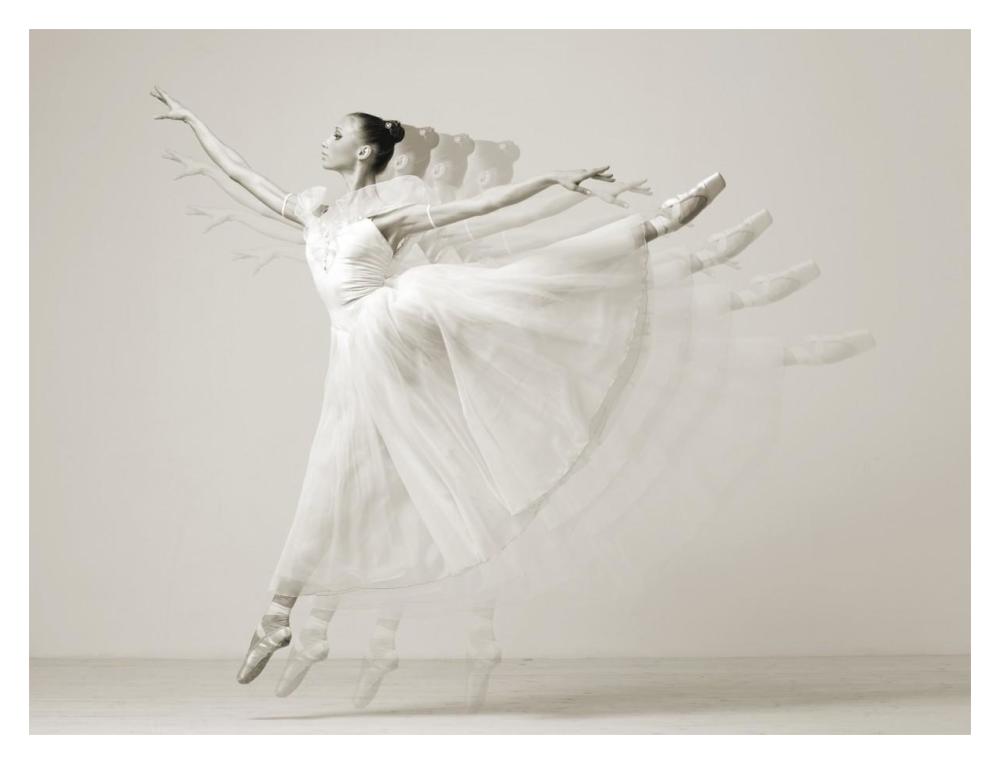Leaping Beauty-Paper Art-18X14