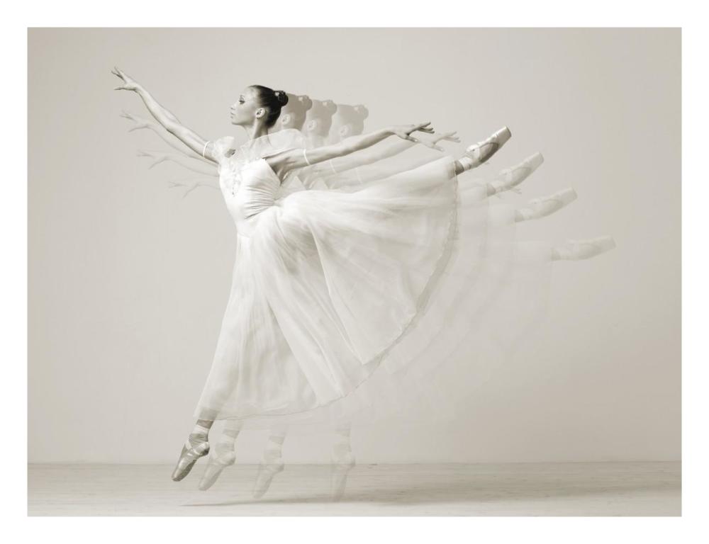 Leaping Beauty-Paper Art-26X20
