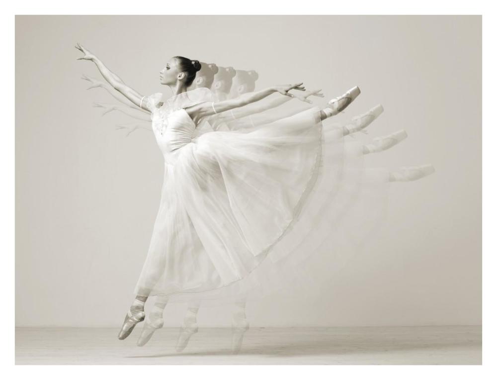 Leaping Beauty-Paper Art-34X26