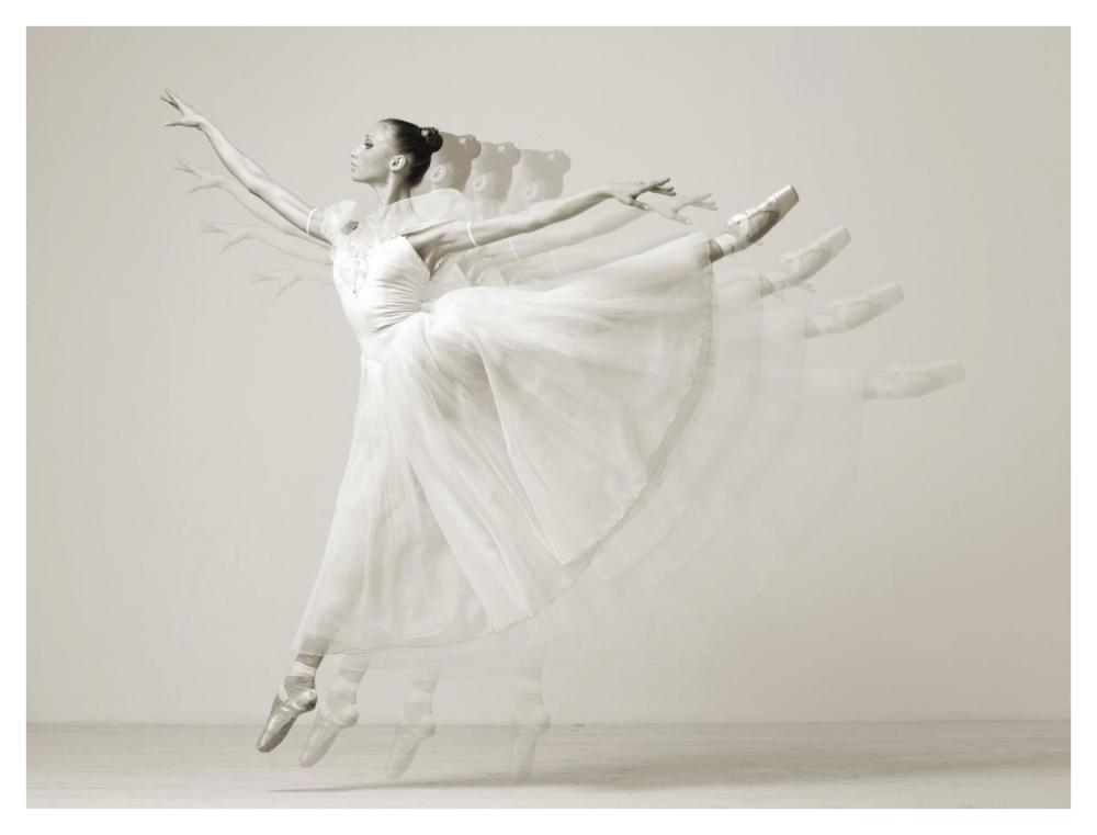 Leaping Beauty-Paper Art-42X32