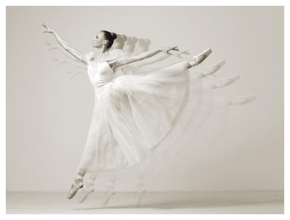 Leaping Beauty-Paper Art-50X38