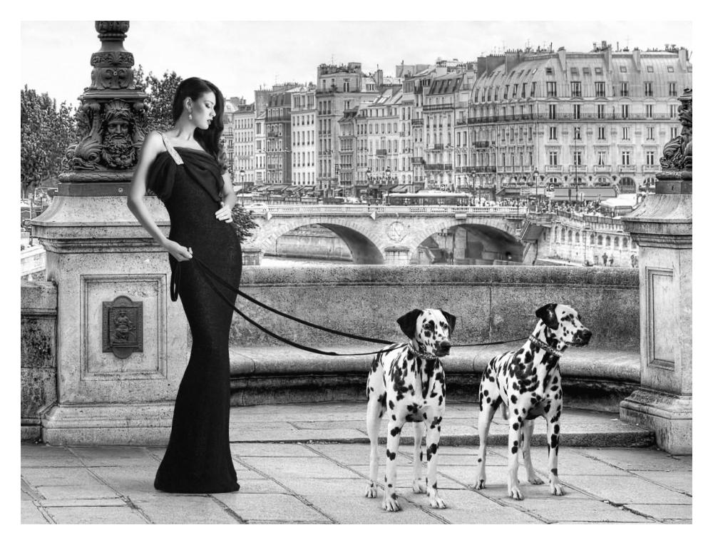 Walking In Paris-Paper Art-18X14