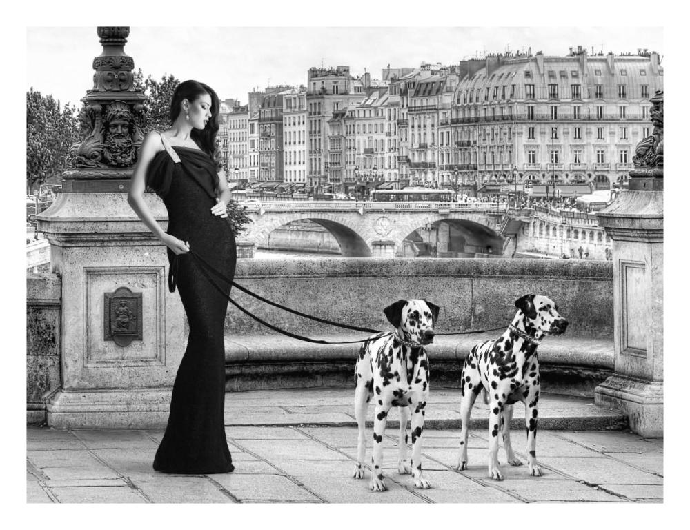 Walking In Paris-Paper Art-26X20