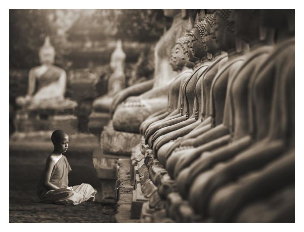 Young Buddhist Monk Praying, Thailand (Sepia)-Paper Art-18X14