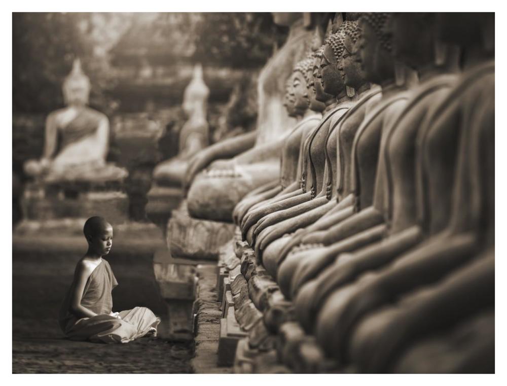 Young Buddhist Monk Praying, Thailand (Sepia)-Paper Art-42X32