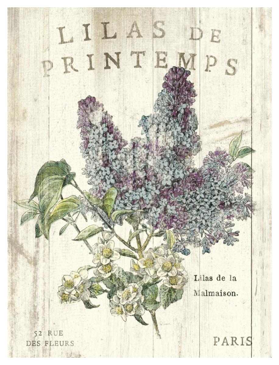 Lilas De Printemps -Paper Art-38X50