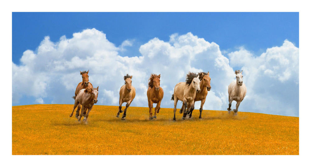 Herd Of Wild Horses-Paper Art-26X14