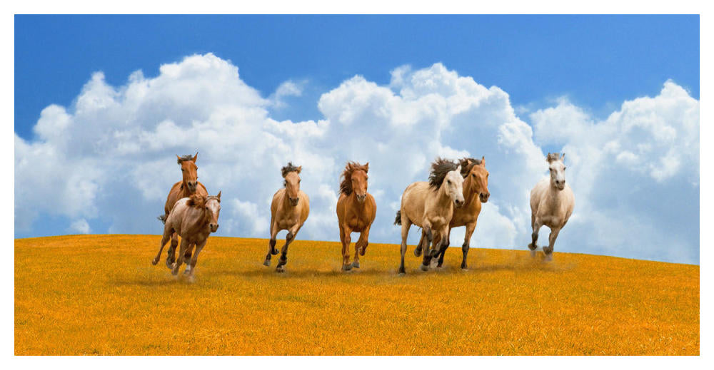 Herd Of Wild Horses-Paper Art-50X26