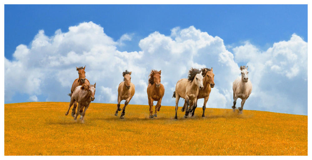 Herd Of Wild Horses-Paper Art-74X38