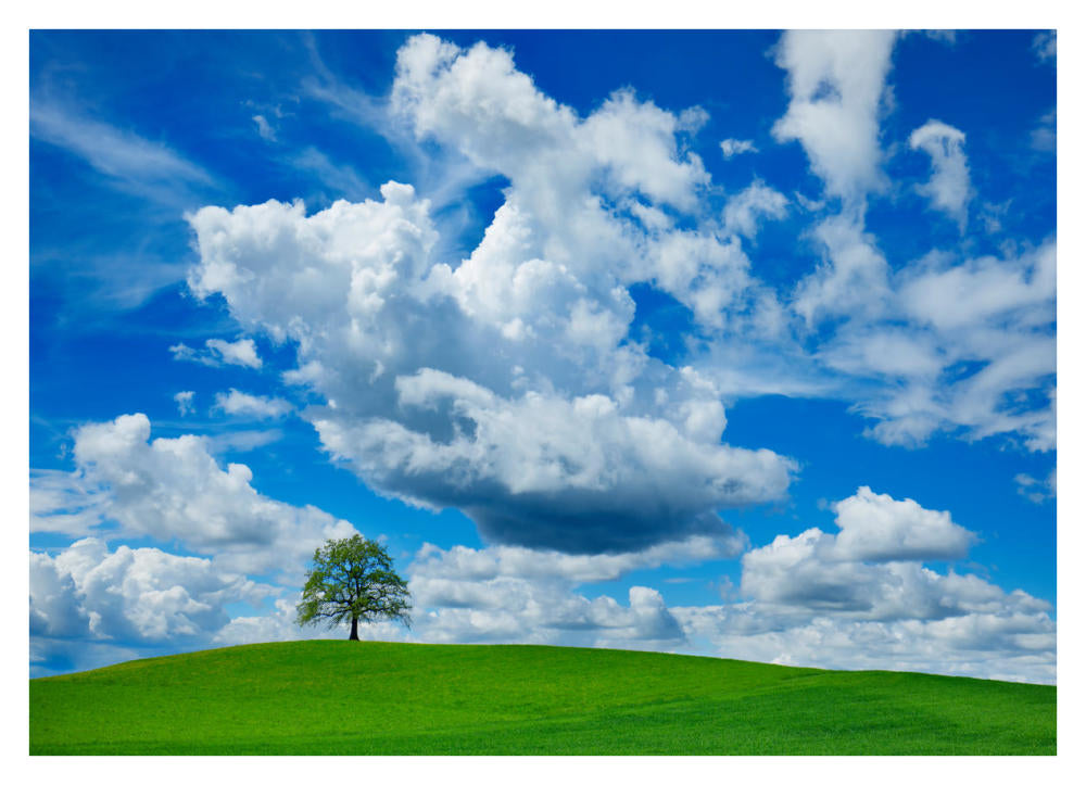 Oak And Clouds, Bavaria, Germany-Paper Art-38X28