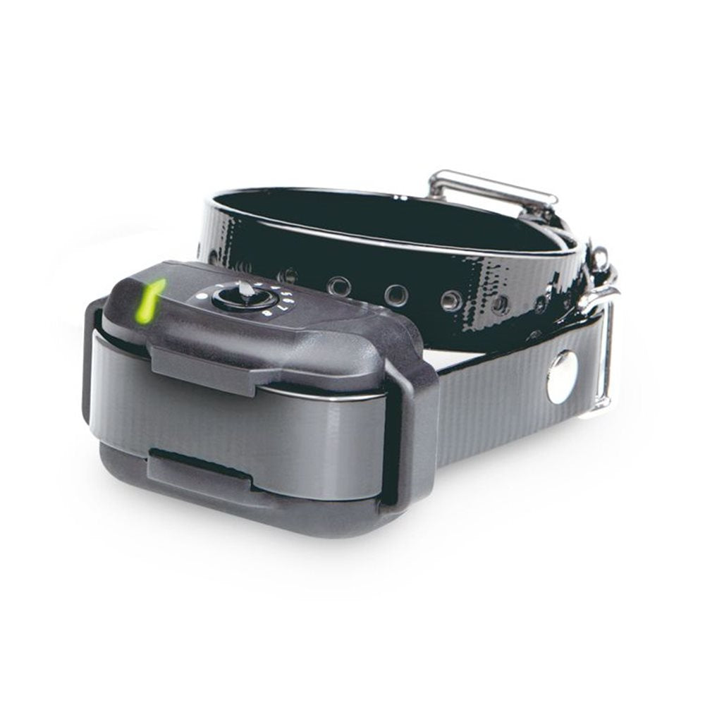 Extra Collar/Receiver For Ef3500