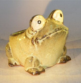 Light Green Frog Planter<br><i>7.0 x 9.0 x 7.5</i>